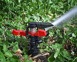 Sprinkler/Drainage